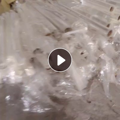 长期出售PET膜废料，PET卷膜