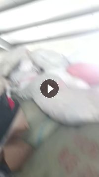 现货处理一批纯棉剪坏的有图案的新衣服，可以做擦机布，100%纯棉，现货不到40吨，货在上海