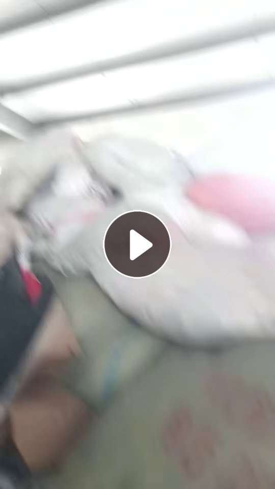 现货处理一批纯棉剪坏的有图案的新衣服，可以做擦机布，100%纯棉，现货不到40吨，货在上海