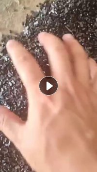 长期出售滴灌带颗粒,过120目