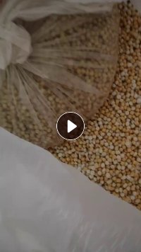 出售EVA粒子
