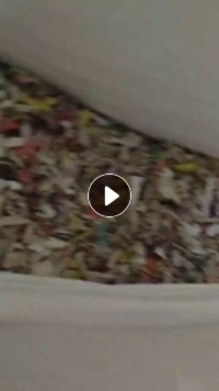 长期出售PP打包带破碎料