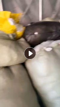 长期出售高压卷筒膜，刀口料