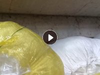 出售低温TPU膜,热熔胶膜