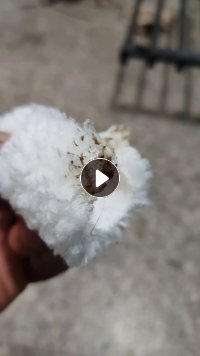 长期出售涤纶废布，涤纶废布边角料，现货三四吨左右