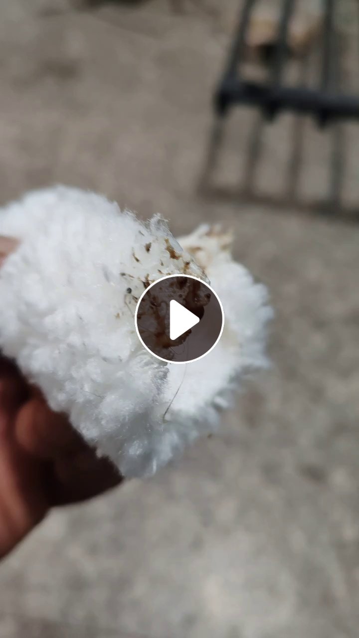 长期出售涤纶废布，涤纶废布边角料，现货三四吨左右