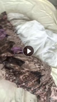 长期大量回收窗帘纱,窗帘大块纱