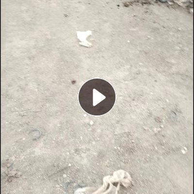 免费送蘑菇袋，高低压膜，现货100多吨，出4-5成