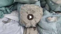 长期出售涤纶废丝，涤纶干丝，现货8吨左右