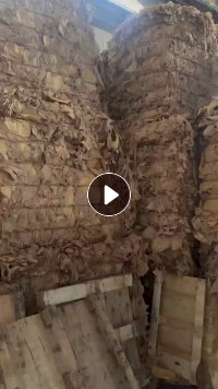 出售本色蛋糕纸