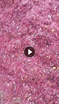 出售纸厂废料，蛋糕纸下来的，全部压包