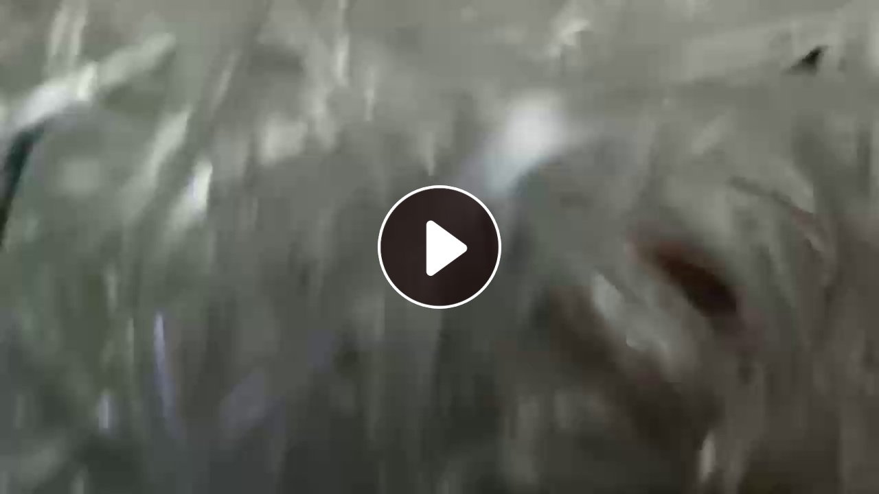 长期出售光伏厂下来的高温eva胶条，现货70-80吨