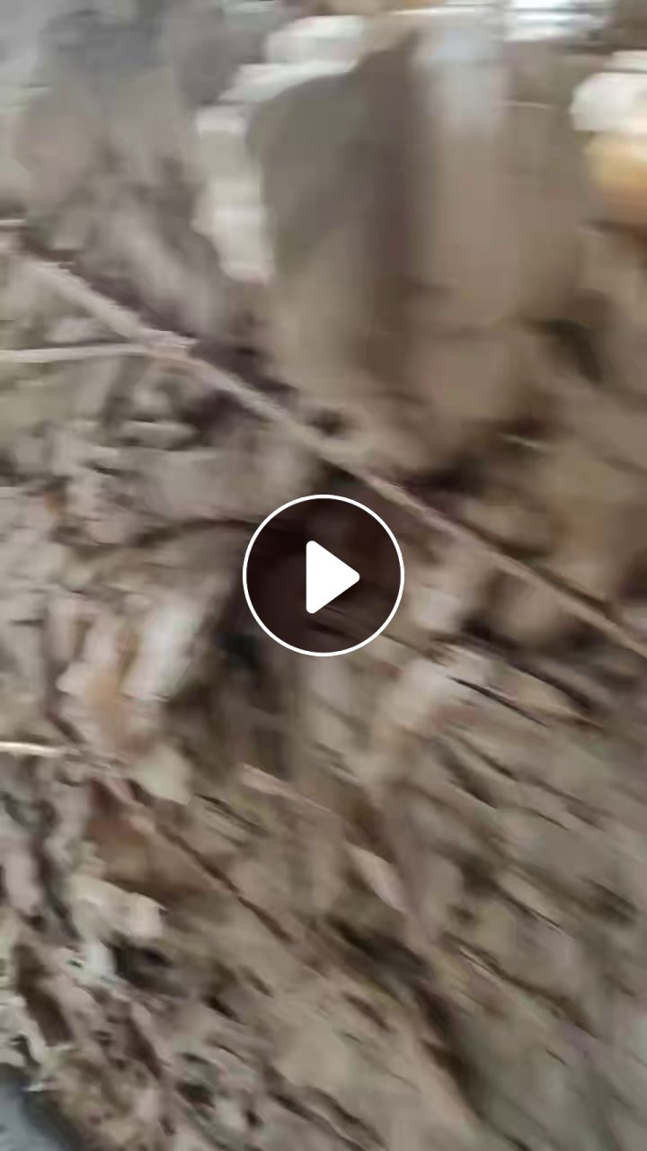 出售光伏纸压块，月供十几吨
