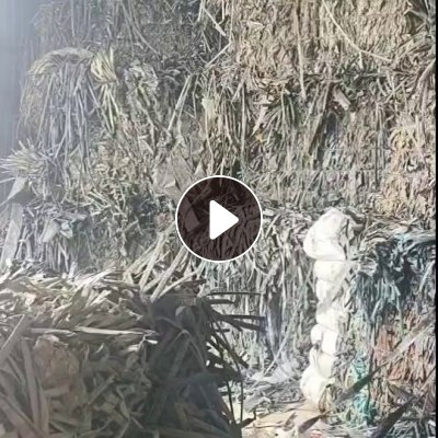 长期出售滴灌带废料，纯贴片的，够车发走