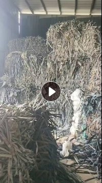 长期出售滴灌带废料，纯贴片的，够车发走