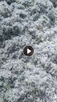 出售纸厂废料,造纸厂尾塑料,月供1000吨