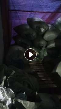 长期出售涤纶废布，涤纶边角料，现货5吨左右