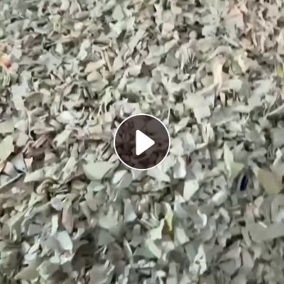 出售pp破碎料，白丙、花丙、黑丙都有，月供500多吨