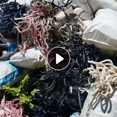 常年出售EVA边角料