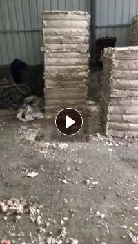 出售纸浆,纸塑分离浆,原生木浆