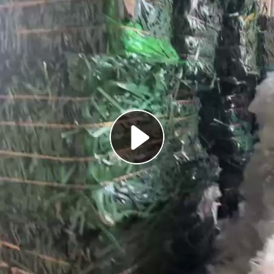 长期出售光伏厂下来的pet打包带废料