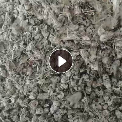 出售水洗编织袋毛毛虫，月供几百吨