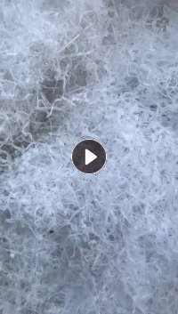 出售PC刨花，现货20多个吨包，基本是白色