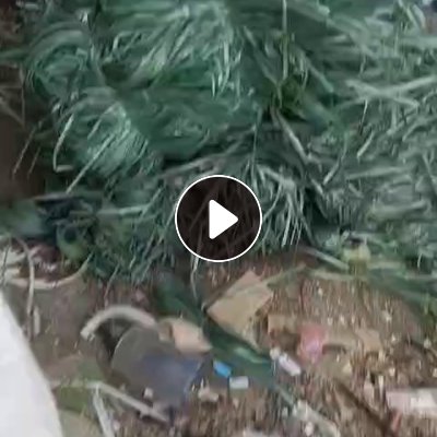 出售PET打包带毛料，月供20吨左右