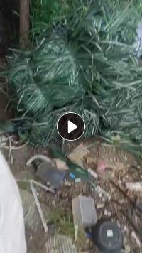 出售PET打包带毛料，月供20吨左右