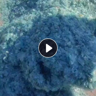 出售PVC大棚膜破碎料，晒干了，现货35吨