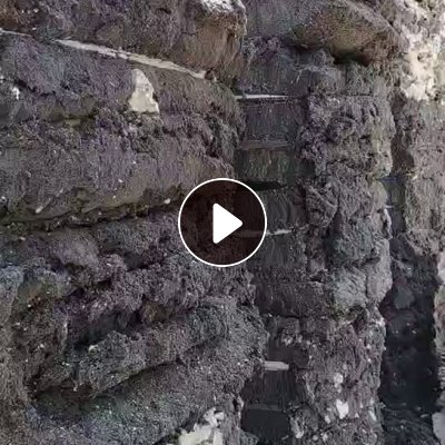 长期出售pvc革吹出来的毛毛料，杂色含10%的水份