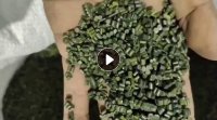 长期大量出售各种再生颗粒,花聚丙膜颗粒,透明聚丙膜颗粒。