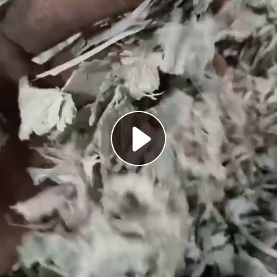 大量出售PP空心板破碎料