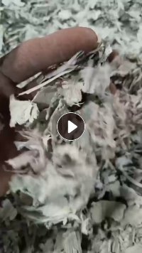大量出售PP空心板破碎料