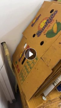 出售榴莲纸箱,装四五斤箱