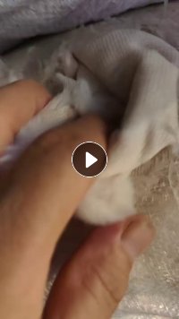 长期出售肤色的涤纶废布，涤纶边角料，现货20吨左右