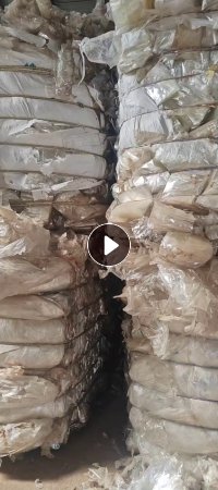 长期出售PET卷膜，带轻胶和不带胶的都有