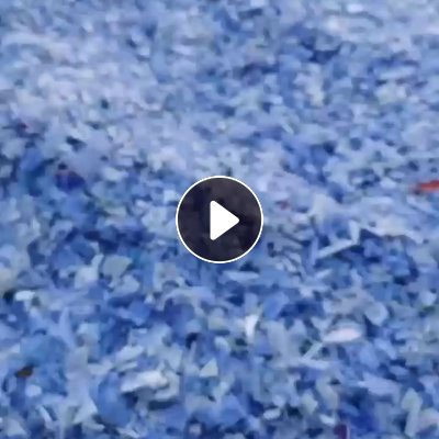 出售PP蓝白破碎料，含一点工程丙