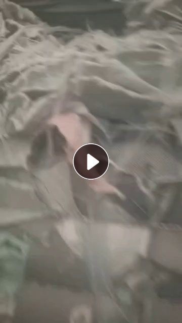 出售丙纶复合空心丝涤纶