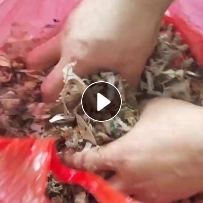 出售pp、pe杂料破碎料，过一道水洗