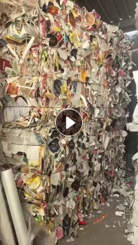 长期出售大花口杯纸边角料