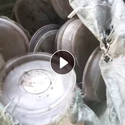 长期出售餐盒压块