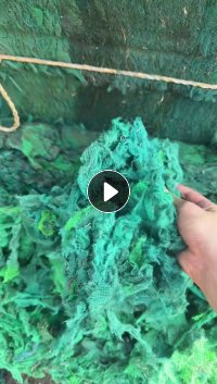 常年出售PET安全网破碎水洗料