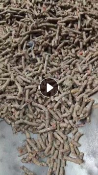 长期大量出售纸厂毛毛虫颗粒,全漂的