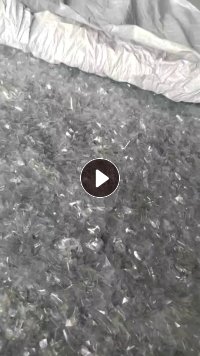 长期出售PET吸塑盒破碎料，A级料