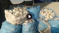 脱膜布成卷的压包的,都有货