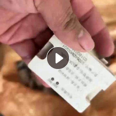 常年出售Pc/ABS合金废料，PC合金毛料