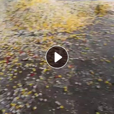 长期大量求购饮料瓶盖