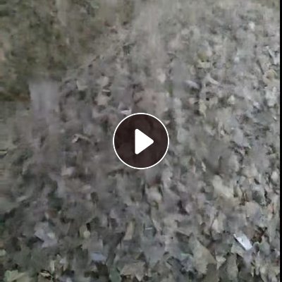 长期出售PVC铝材膜破碎料，PVC铝合金包装膜破碎料