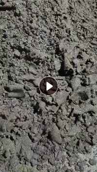 长期出售纸厂重渣分出来的尾浆